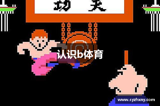 认识b体育